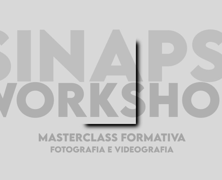 SINAPSI WORKSHOP