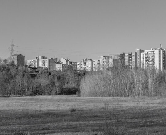 CRIDAN_04